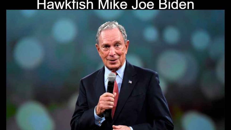 Hawkfish joe biden mayschleifervox