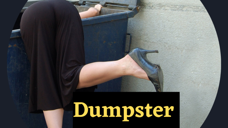 is dumpster diving legal in nc